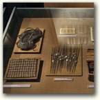 Display cases - Archeological Museum in Krakow