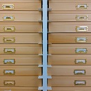 Set of entomological drawers photo by Foo Maosheng