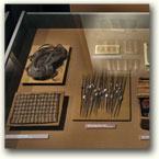 Ausstellungsvitrinen – Archäologisches Museum in Kraków